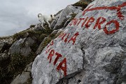 39 Sentiero della porta ...lo faremo !